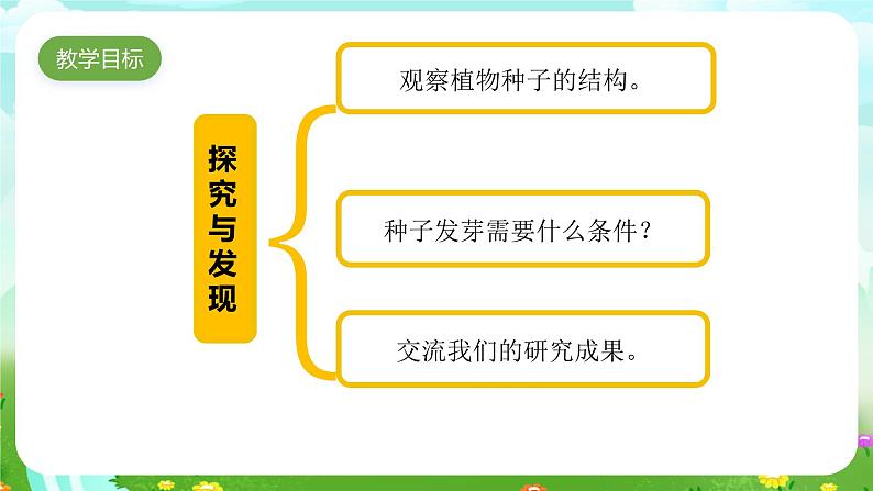 青岛版六三制(2017)科学三年级下册 第13课《种子发芽了》课件第3页