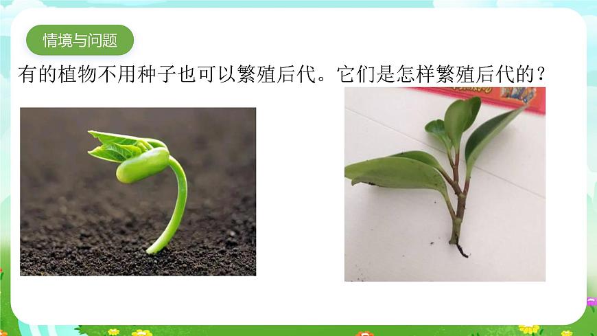 青島版六三制(2017)科學(xué)三年級下冊 第14課《植物的“分身術(shù)”》課件第2頁