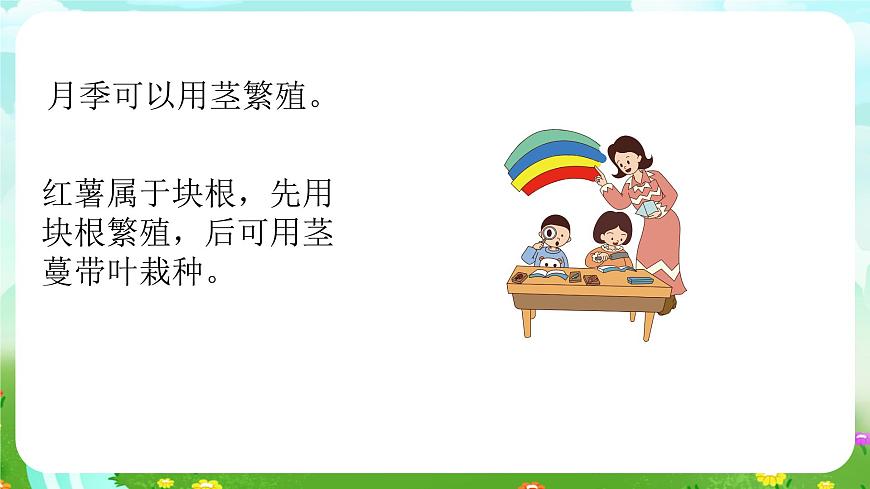 青島版六三制(2017)科學(xué)三年級下冊 第14課《植物的“分身術(shù)”》課件第6頁