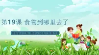 小学科学青岛版(六三制)(2024)三年级下册(2017)19 食物到哪里去了公开课ppt课件