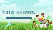 青岛版（六三制）(2024)三年级下册（2017）第六单元 消化与呼吸20 我们的呼吸优质课课件ppt