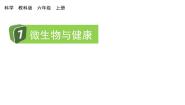 小学科学7.微生物与健康教学课件ppt