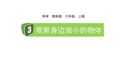 2024教科版科学六年级上册第一单元微小世界3观察身边微小的物体教学课件