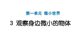 2024教科版科学六年级上册第一单元微小世界3观察身边微小的物体  作业课件