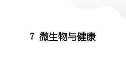 2024教科版科学六年级上册第一单元微小世界7微生物与健康  作业课件