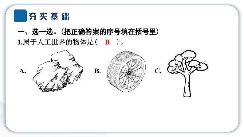 2024教科版科学二年级上册第二单元材料1 我们生活的世界 作业课件第3页