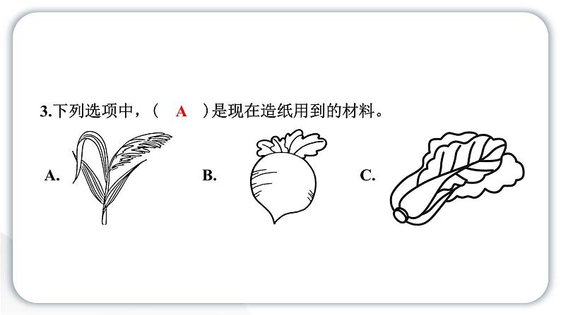 2024教科版科学二年级上册第二单元材料3 书的历史 作业课件第4页