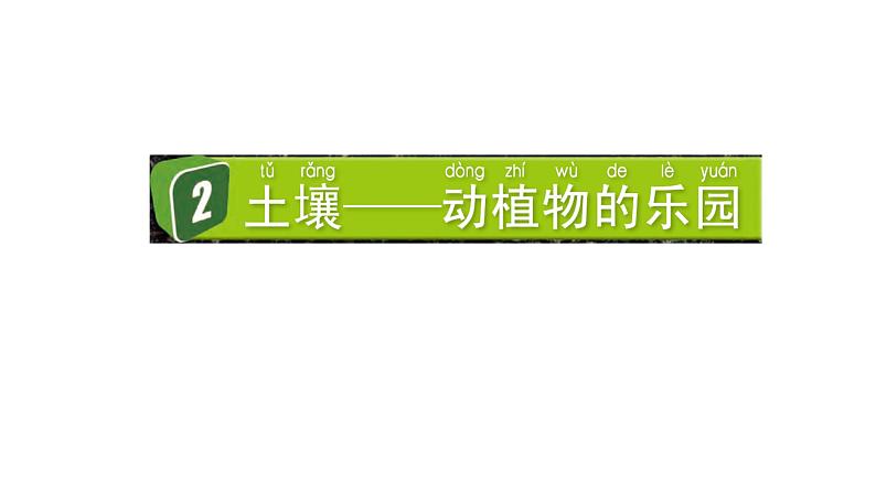 2024教科版科学二年级上册第一单元我们的地球家园2土壤——动植物的乐园教学课件第1页