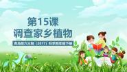 青岛版（六三制）(2024)四年级下册（2017）14 调查家乡植物公开课ppt课件