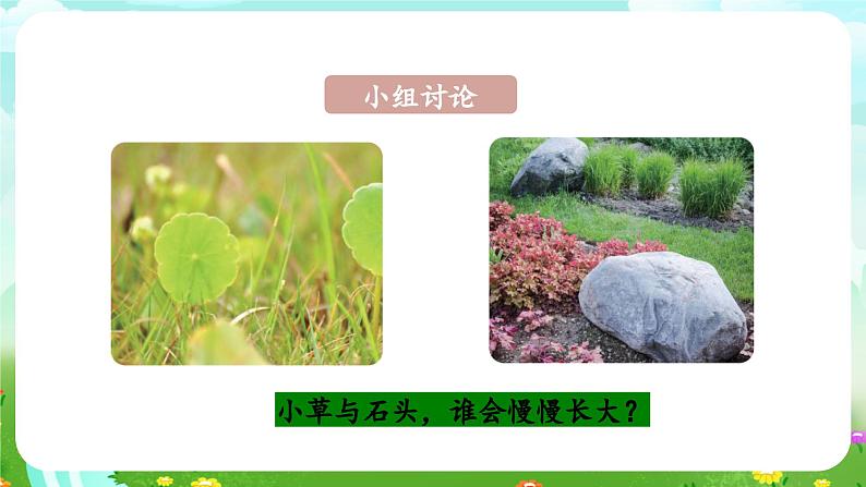 青岛版六三制(2017)科学四年级下册 第18课《生物与非生物》课件第5页
