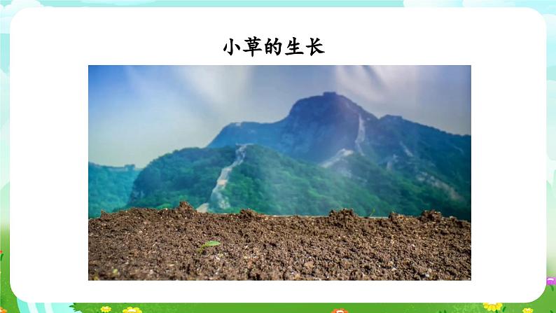 青岛版六三制(2017)科学四年级下册 第18课《生物与非生物》课件第6页