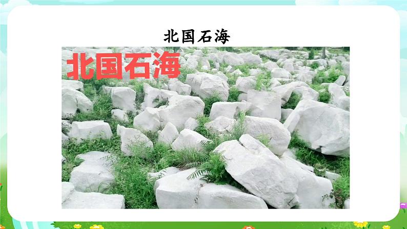 青岛版六三制(2017)科学四年级下册 第18课《生物与非生物》课件第7页