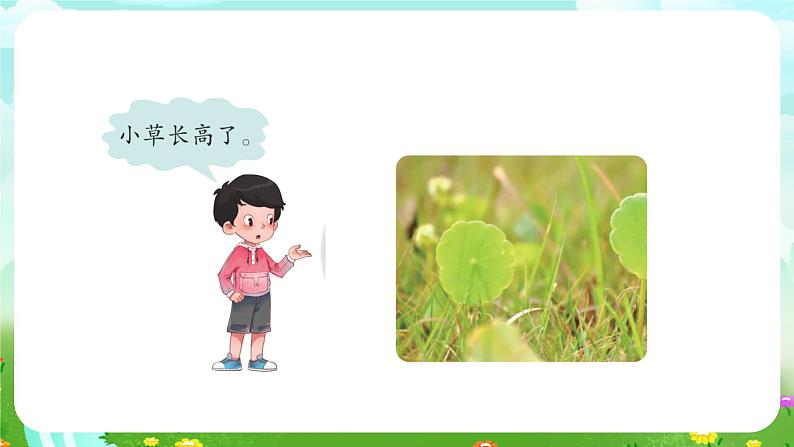 青岛版六三制(2017)科学四年级下册 第18课《生物与非生物》课件第8页