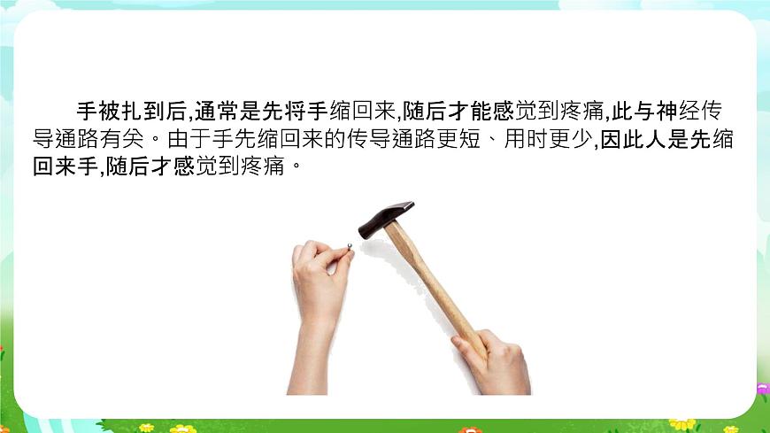青島版六三制（2017）科學(xué)五年級(jí)下冊(cè)  第2課《神經(jīng)系統(tǒng)》課件第6頁(yè)