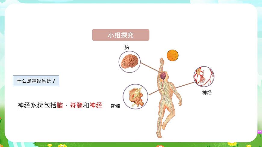 青島版六三制（2017）科學(xué)五年級(jí)下冊(cè)  第2課《神經(jīng)系統(tǒng)》課件第8頁(yè)