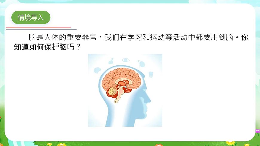青島版六三制（2017）科學(xué)五年級(jí)下冊(cè)  第3課《保護(hù)腦》課件第5頁
