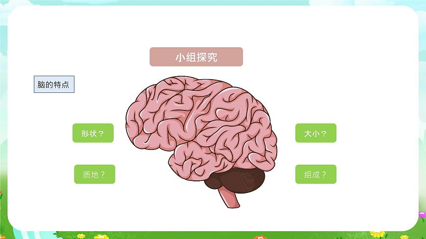 青島版六三制（2017）科學(xué)五年級(jí)下冊(cè)  第3課《保護(hù)腦》課件第7頁