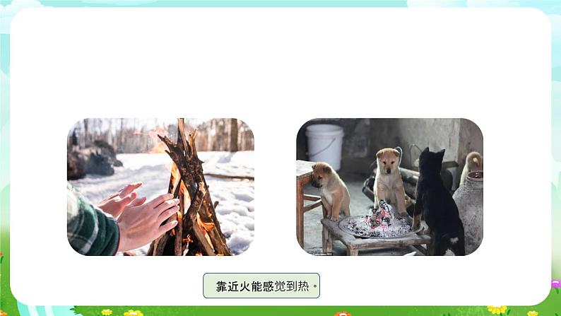 青岛版六三制(2017)科学五年级下册 第9课《燃烧》课件第8页