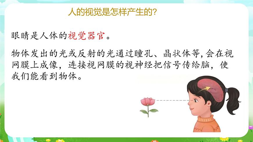 青島版六三制（2017）科學(xué)六年級(jí)下冊(cè) 第1課《視覺》課件第5頁