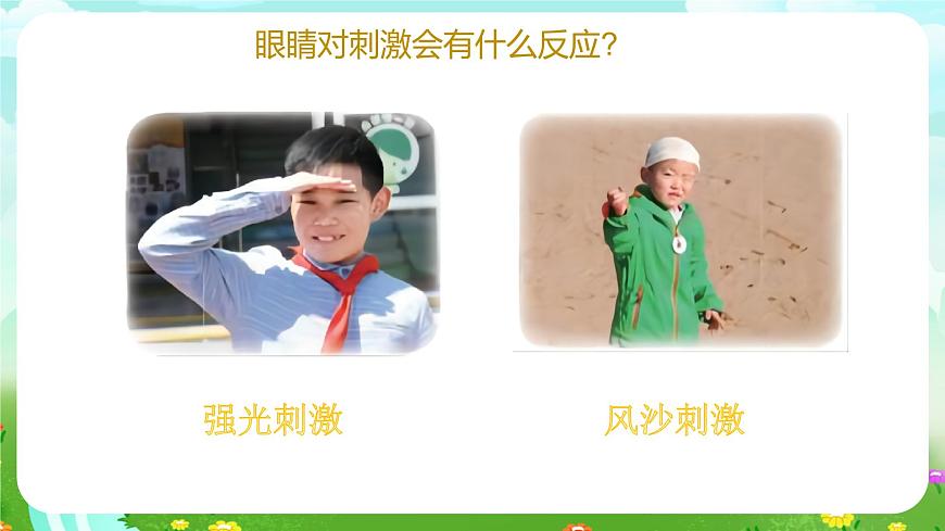 青島版六三制（2017）科學(xué)六年級(jí)下冊(cè) 第1課《視覺》課件第6頁