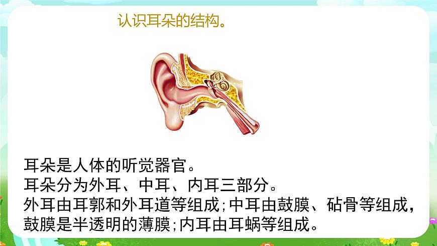 青島版六三制（2017）科學(xué)六年級(jí)下冊(cè) 第3課《聽覺》課件第5頁(yè)