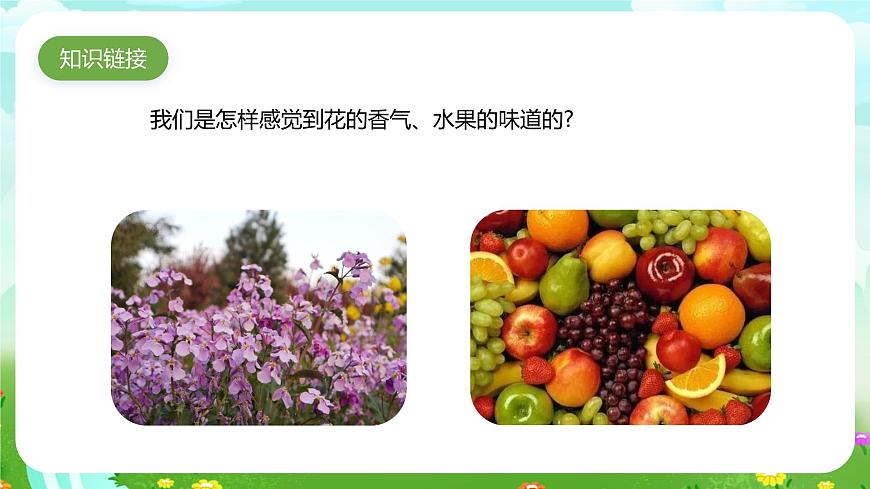 青島版六三制（2017）科學(xué)六年級下冊 第4課《嗅覺和味覺》課件第3頁