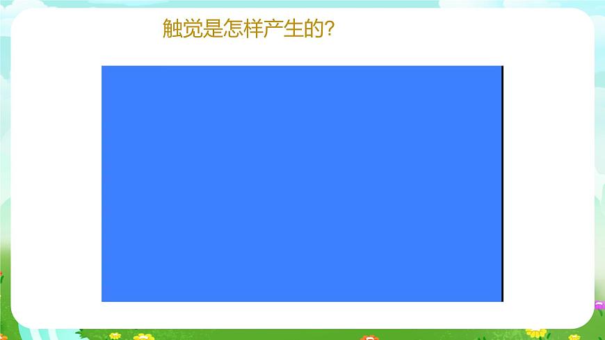 青島版六三制（2017）科學(xué)六年級下冊 第5課《觸覺》課件第5頁