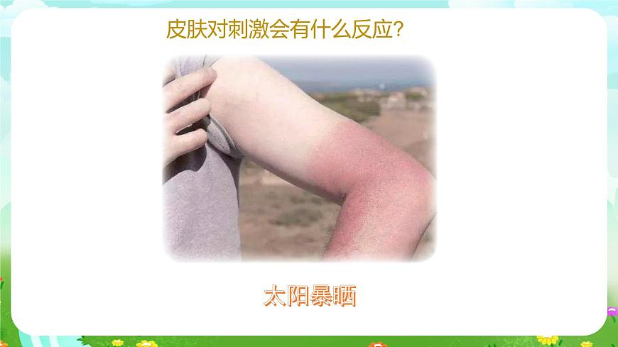 青島版六三制（2017）科學(xué)六年級下冊 第5課《觸覺》課件第8頁