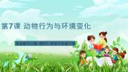 青岛版（六三制）(2024)六年级下册（2017）动物行为与环境变化获奖ppt课件