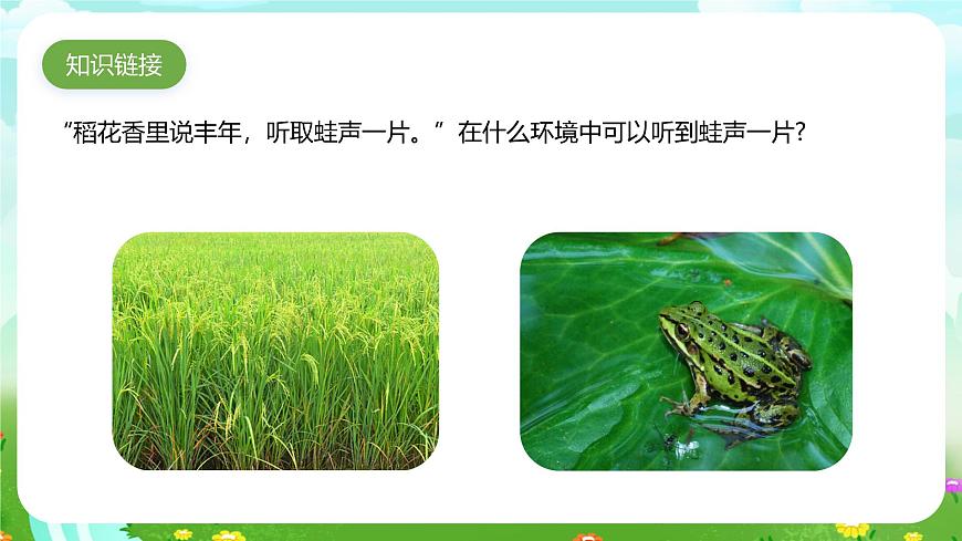 青島版六三制（2017）科學(xué)六年級(jí)下冊(cè) 第7課《動(dòng)物行為與環(huán)境變化》課件第3頁