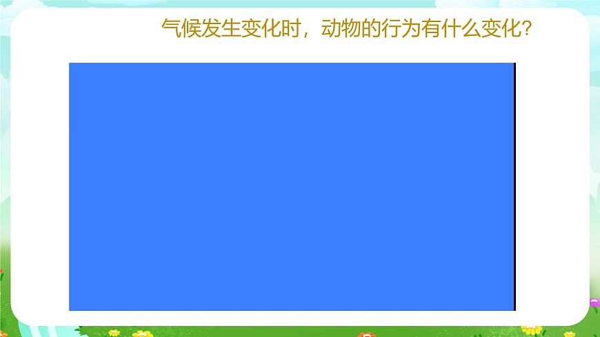 青島版六三制（2017）科學(xué)六年級(jí)下冊(cè) 第7課《動(dòng)物行為與環(huán)境變化》課件第6頁