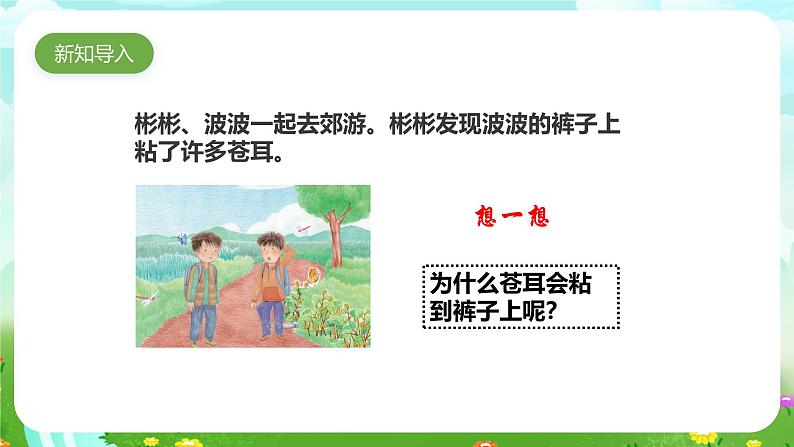 粤教粤科版(2019)科学六年级下册 1.7《大自然的启示》课件第2页