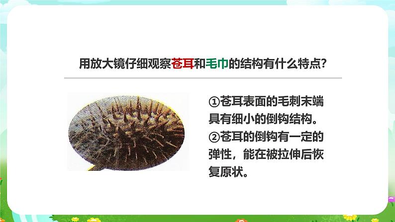粤教粤科版(2019)科学六年级下册 1.7《大自然的启示》课件第6页