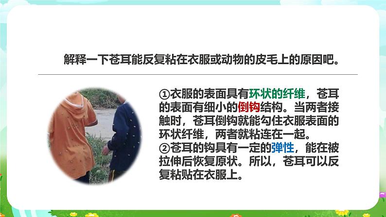 粤教粤科版(2019)科学六年级下册 1.7《大自然的启示》课件第8页