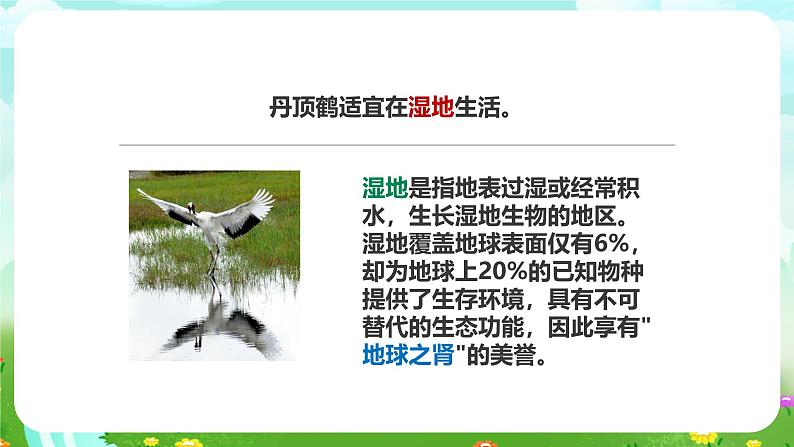 粤教粤科版(2019)科学六下 3.14《生物生存的环境》课件第3页