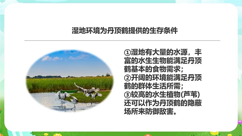 粤教粤科版(2019)科学六下 3.14《生物生存的环境》课件第5页