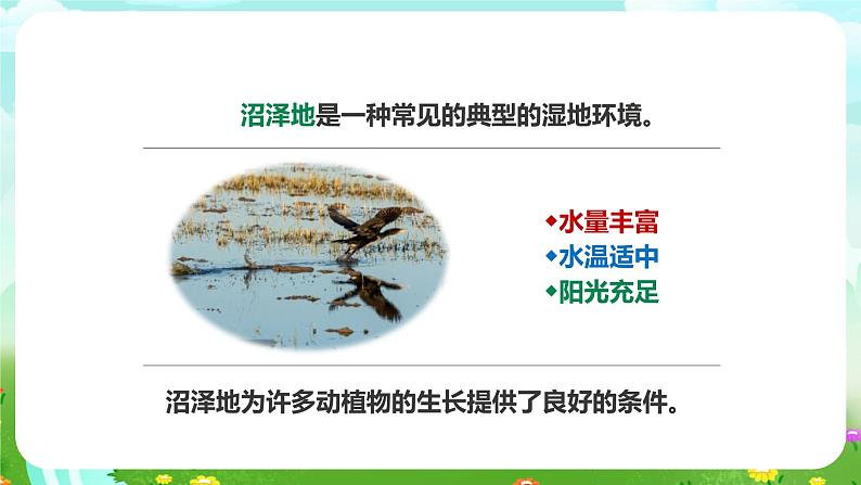 粤教粤科版(2019)科学六下 3.14《生物生存的环境》课件第6页