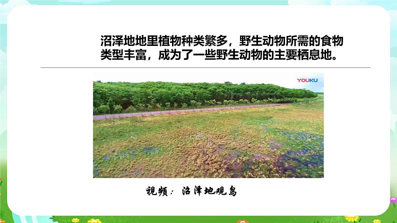粤教粤科版(2019)科学六下 3.14《生物生存的环境》课件第7页