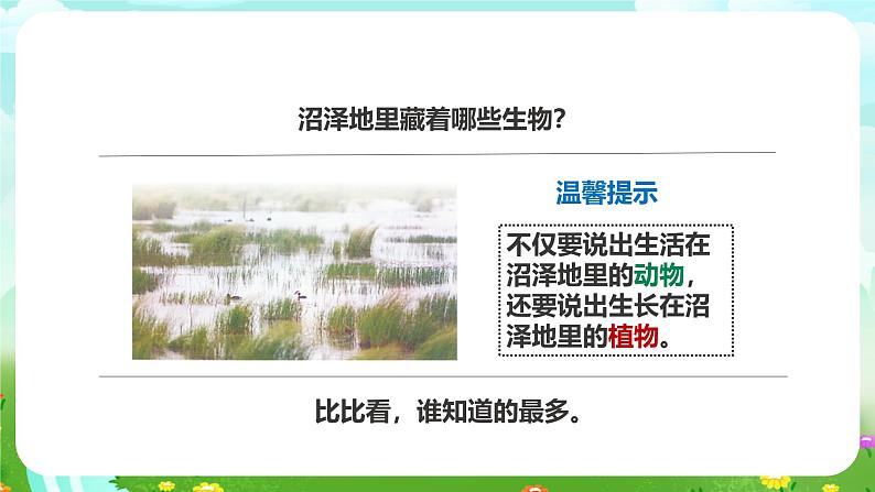 粤教粤科版(2019)科学六下 3.14《生物生存的环境》课件第8页