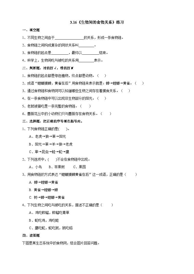 粤教粤科版(2019)科学六下 3.16《生物间的食物关系》练习第1页
