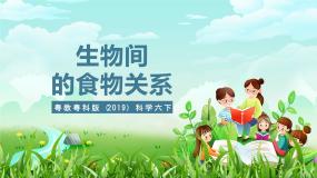 小学粤教粤科版（2024）16 生物间的食物关系精品课件ppt