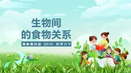 粤教粤科版（2019）科学六下 3.16《生物间的食物关系》课件+教案+练习+素材