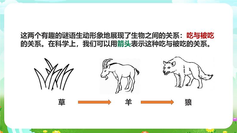 粤教粤科版(2019)科学六下 3.16《生物间的食物关系》课件第4页