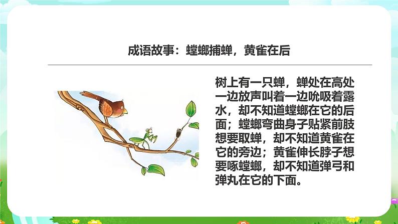粤教粤科版(2019)科学六下 3.16《生物间的食物关系》课件第5页