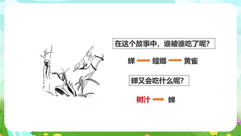 粤教粤科版(2019)科学六下 3.16《生物间的食物关系》课件第6页