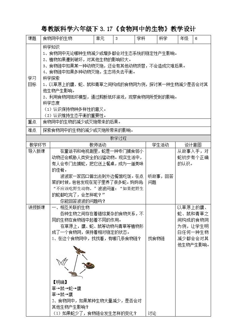 粵教粵科版（2019）科學六下 3.17《食物網(wǎng)中的生物》教案第1頁