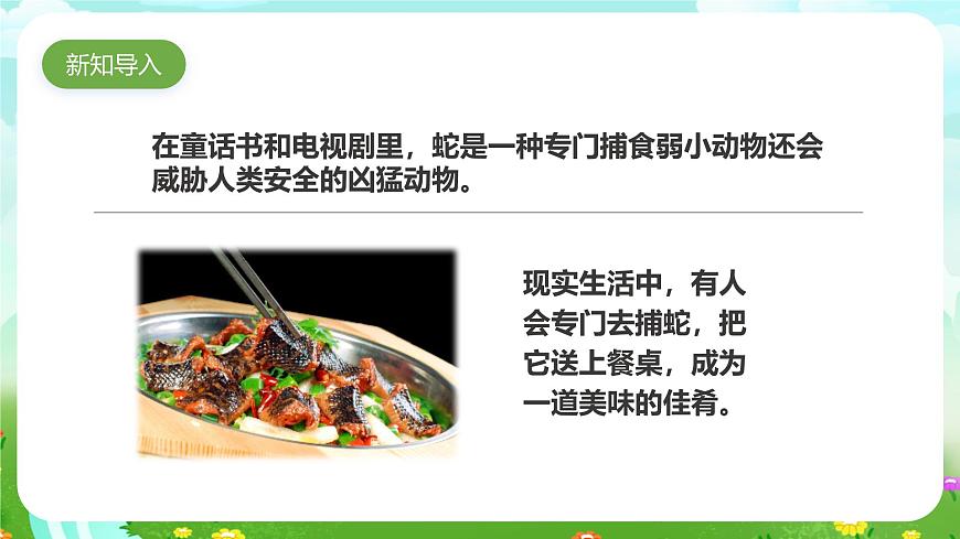 粵教粵科版（2019）科學六下 3.17《食物網(wǎng)中的生物》課件第2頁