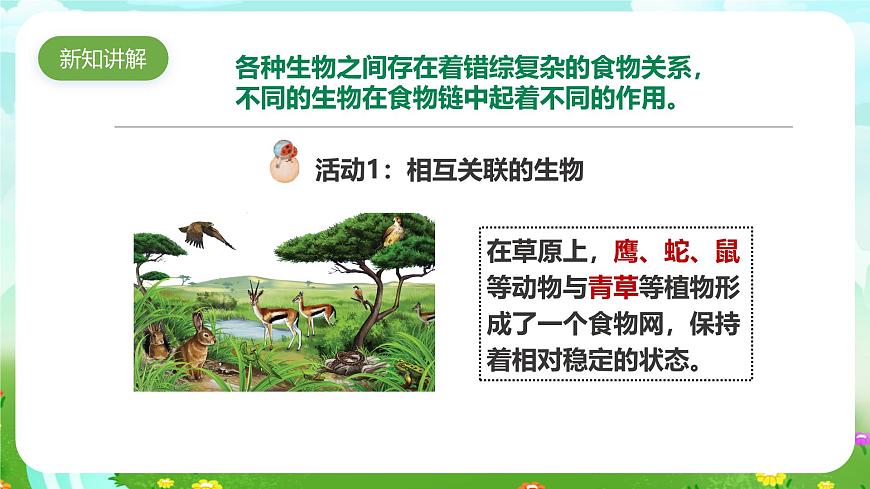 粵教粵科版（2019）科學六下 3.17《食物網(wǎng)中的生物》課件第4頁