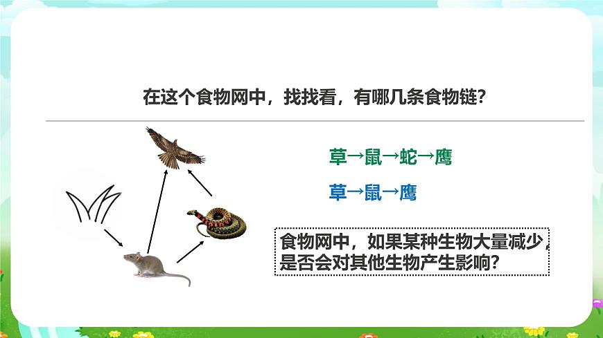 粵教粵科版（2019）科學六下 3.17《食物網(wǎng)中的生物》課件第5頁