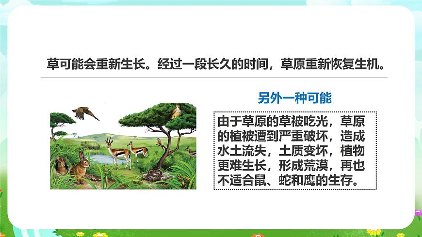 粵教粵科版（2019）科學六下 3.17《食物網(wǎng)中的生物》課件第7頁